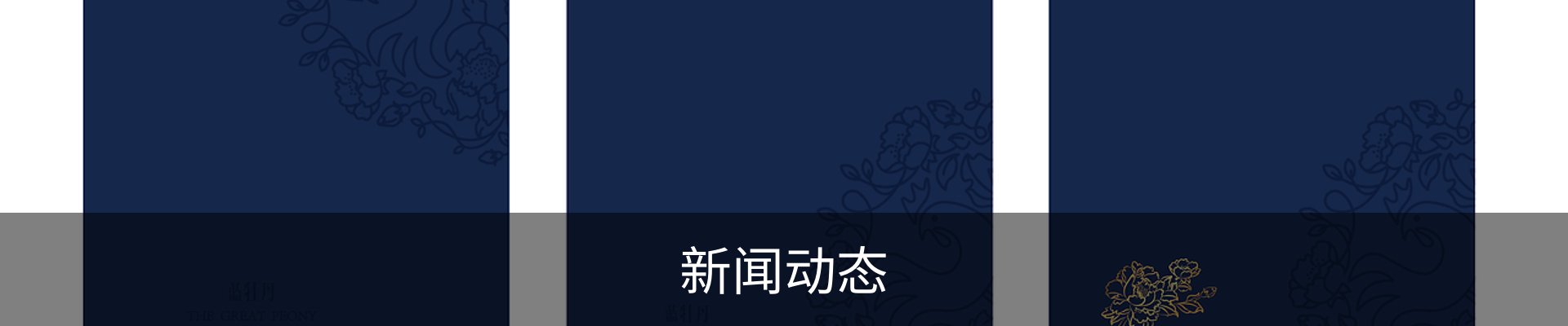 新闻动态